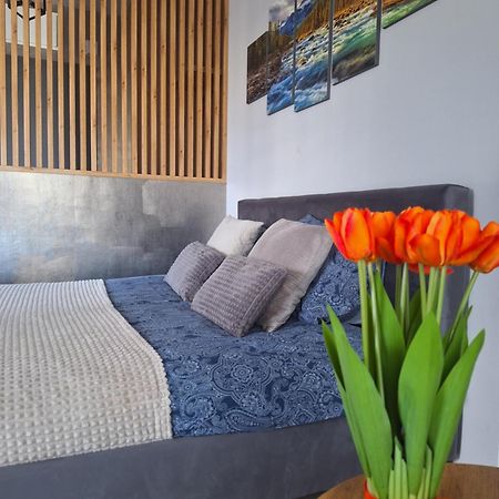 Apartament Gorska Szarotka Nowy Targ Esterno foto