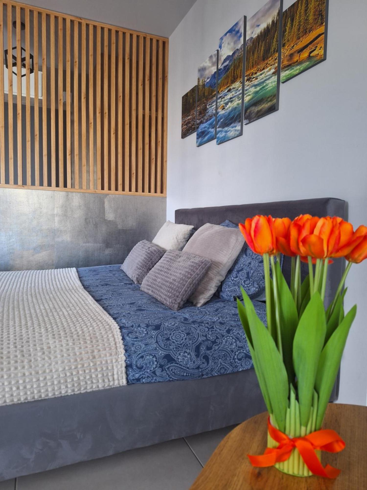 Apartament Gorska Szarotka Nowy Targ Esterno foto