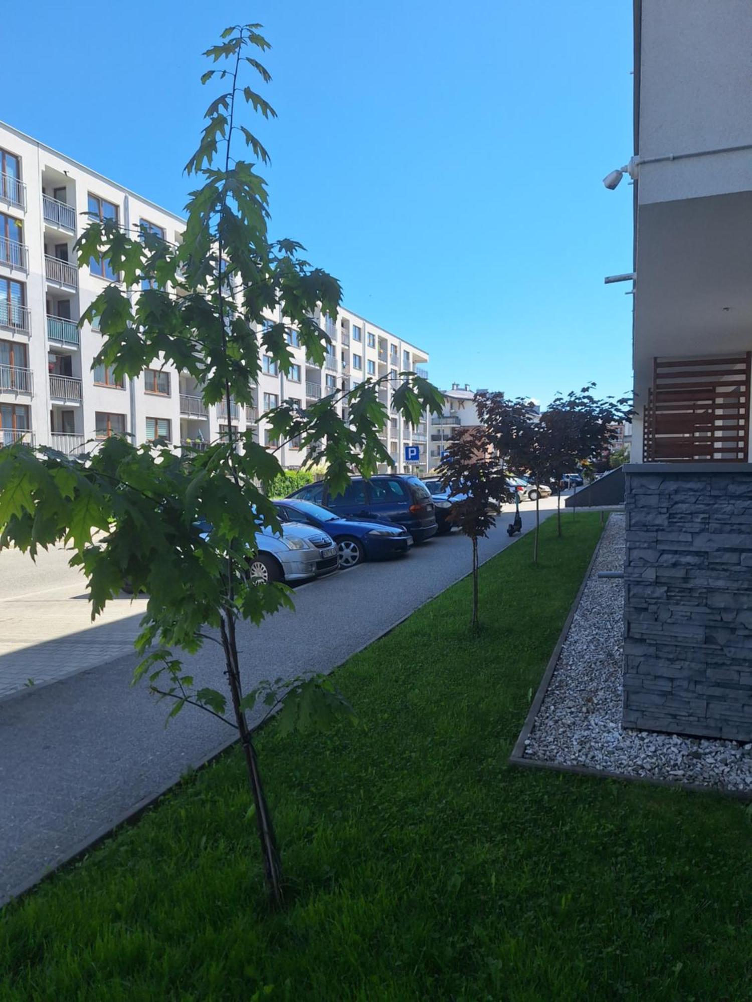 Apartament Gorska Szarotka Nowy Targ Esterno foto